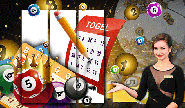 bandar togel 303: The Ultimate Hub for Online Togel Fans